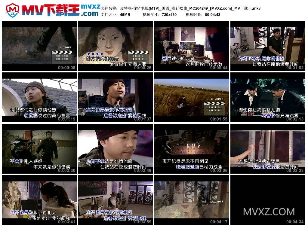 皮特杨-你情他愿(MTV)_国语_流行歌曲_MC204249
